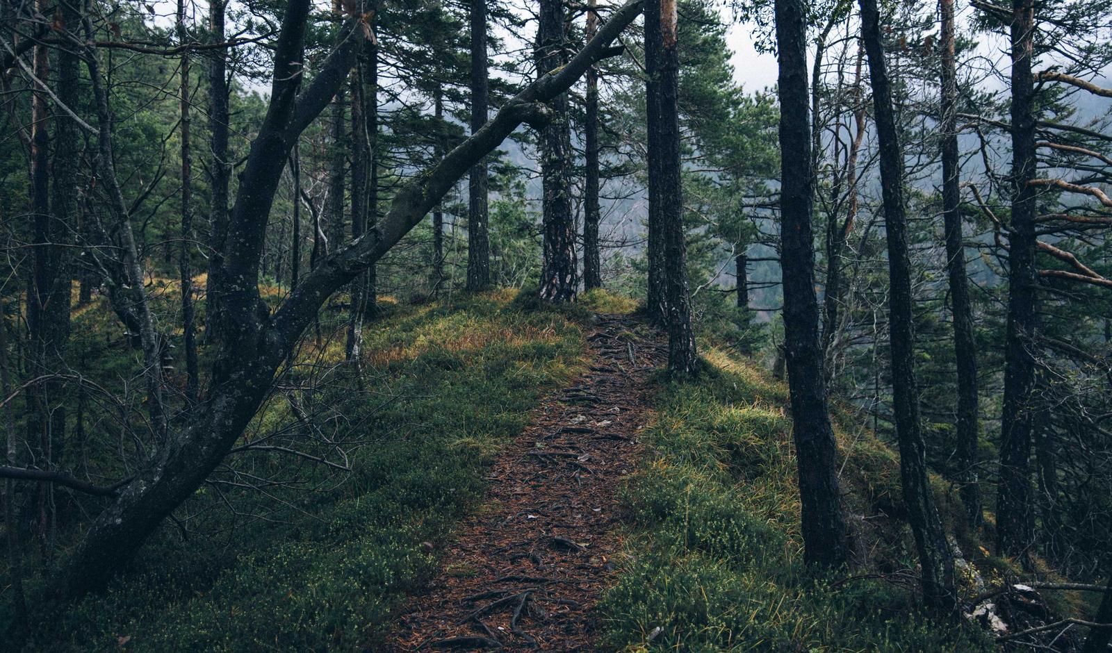 Branding-Materialien auf Tischfläche